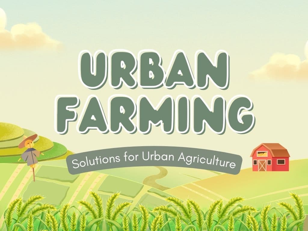 Urban Farming: How to Grow Food in Limited Spaces