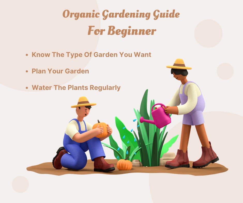 Beginner Guide to Organic Gardening