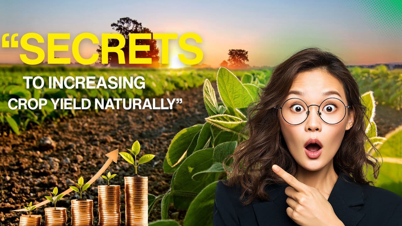 “Secrets to Increasing Crop Yield Naturally”