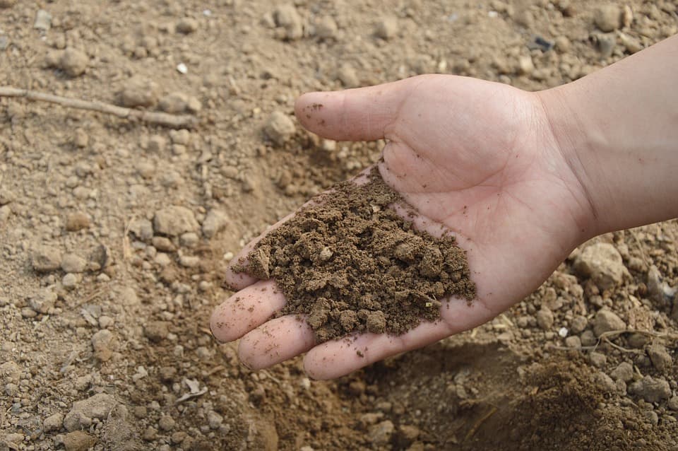 using soil food web