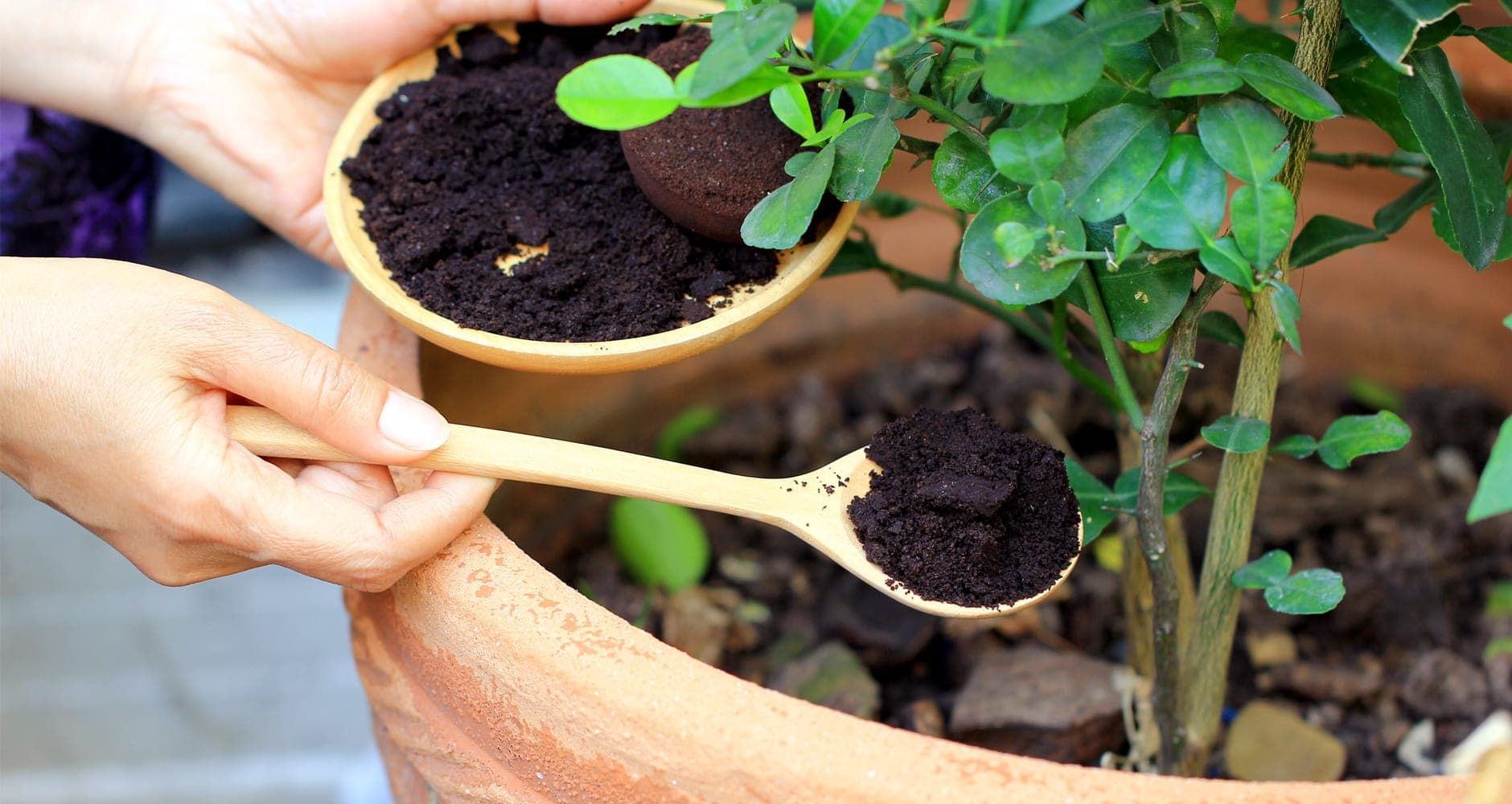 using the right amounts in garden fertilizer ratios