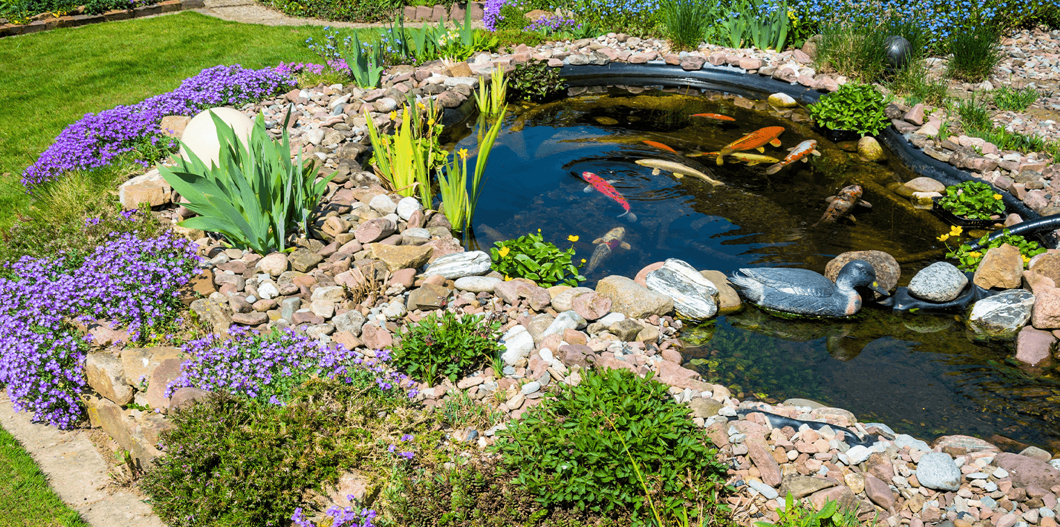 Decorative Water Features for Backyard Gardens: A Comprehensive Guide