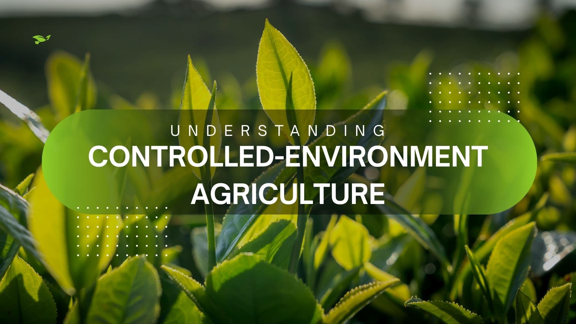 CONTROLLED-ENVIRONMENT AGRICULTURE (CEA)