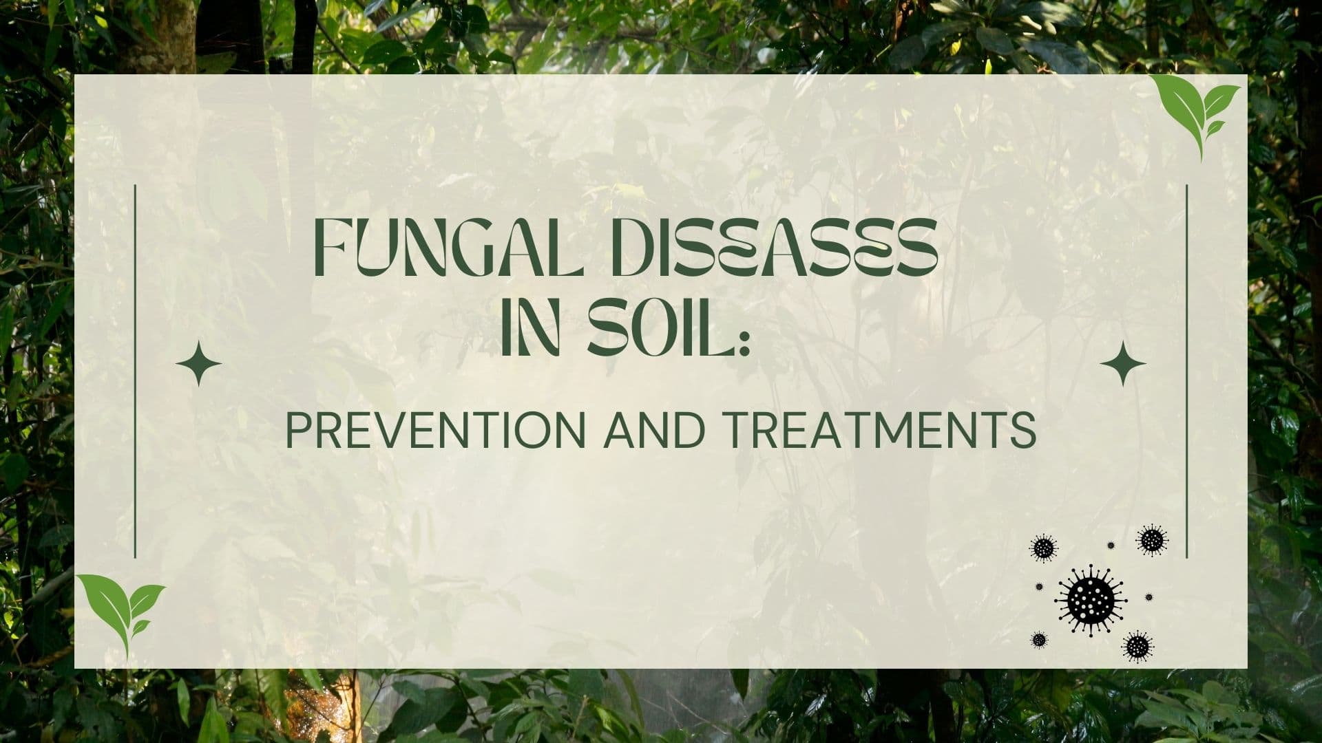 FUNGAL DISEASES IN SOIL: PREVENTION AND TREATMENTS
