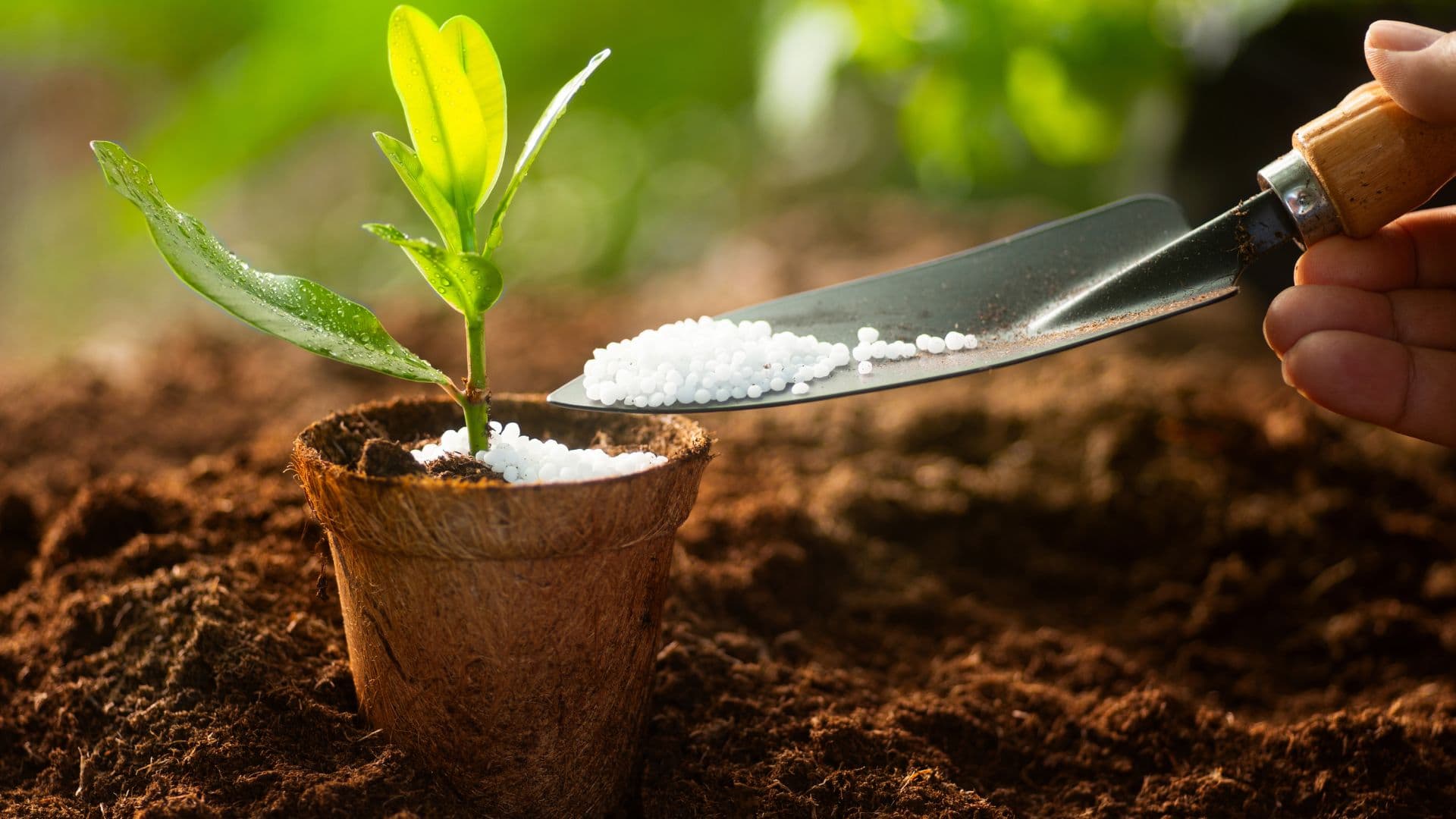 Biofertilizers vs Chemical Fertilizers: Which Is Better for Soil?