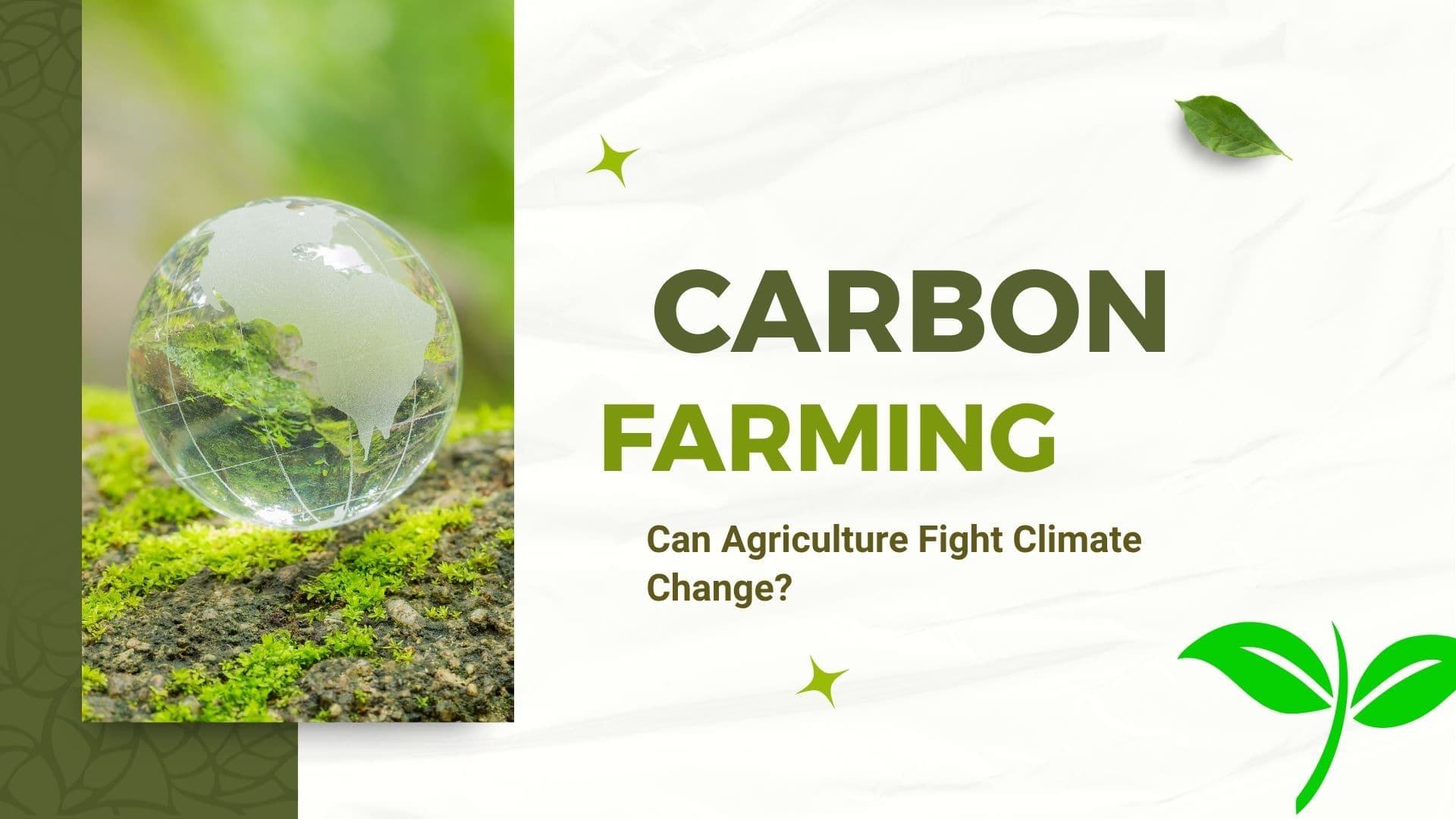 Carbon Farming: Can Agriculture Fight Climate Change?