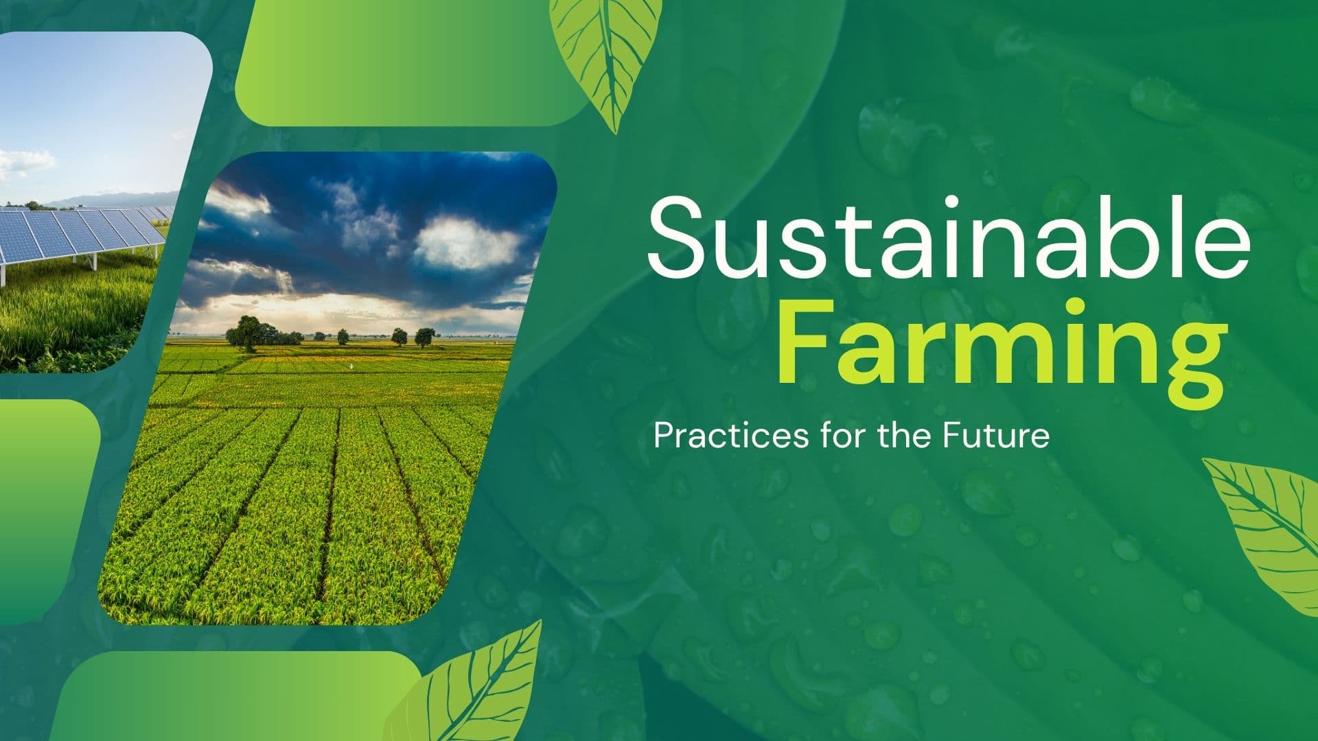 Sustainable Farming Practices for the Future