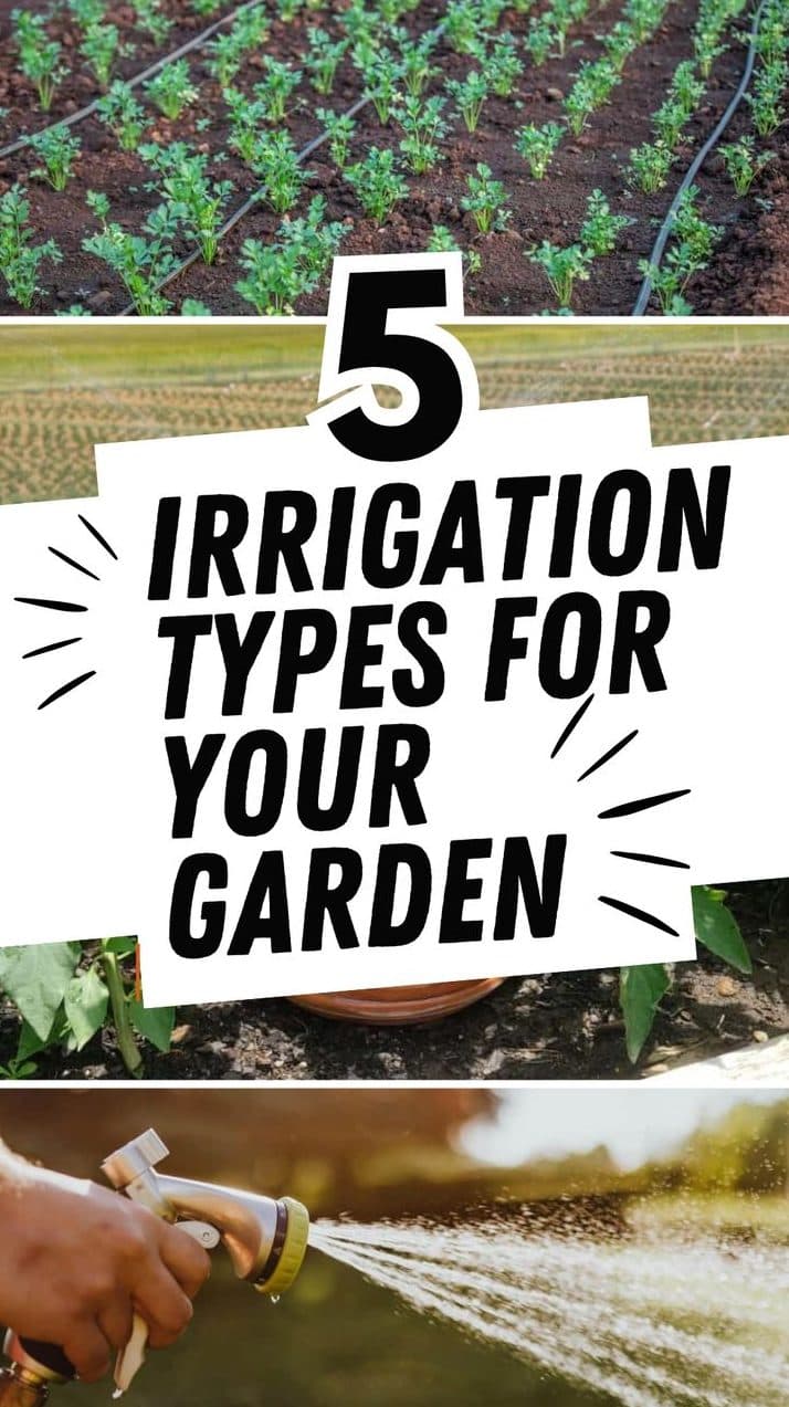 Best Irrigation Methods for Water Saving