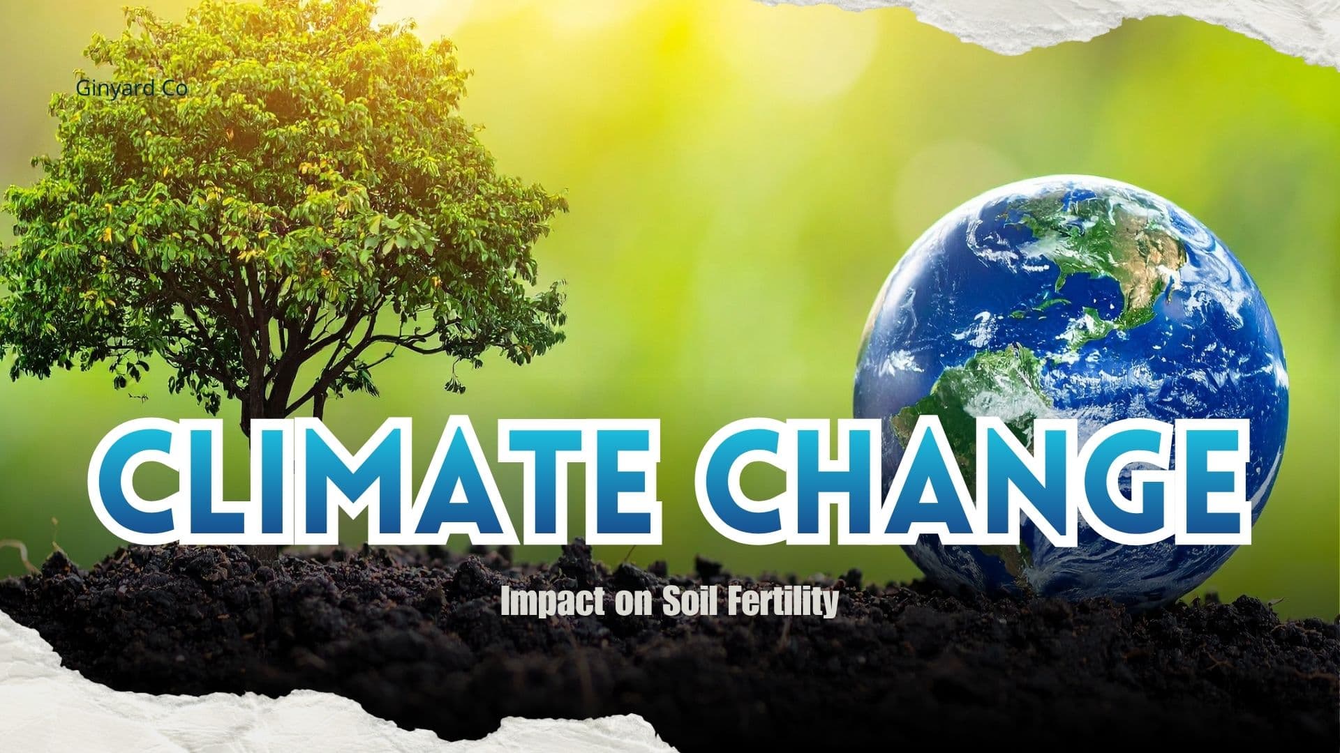 Impact of Climate Change on Soil Fertility