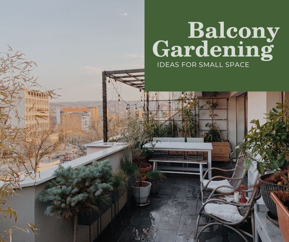 Balcony gardening ideas for small space