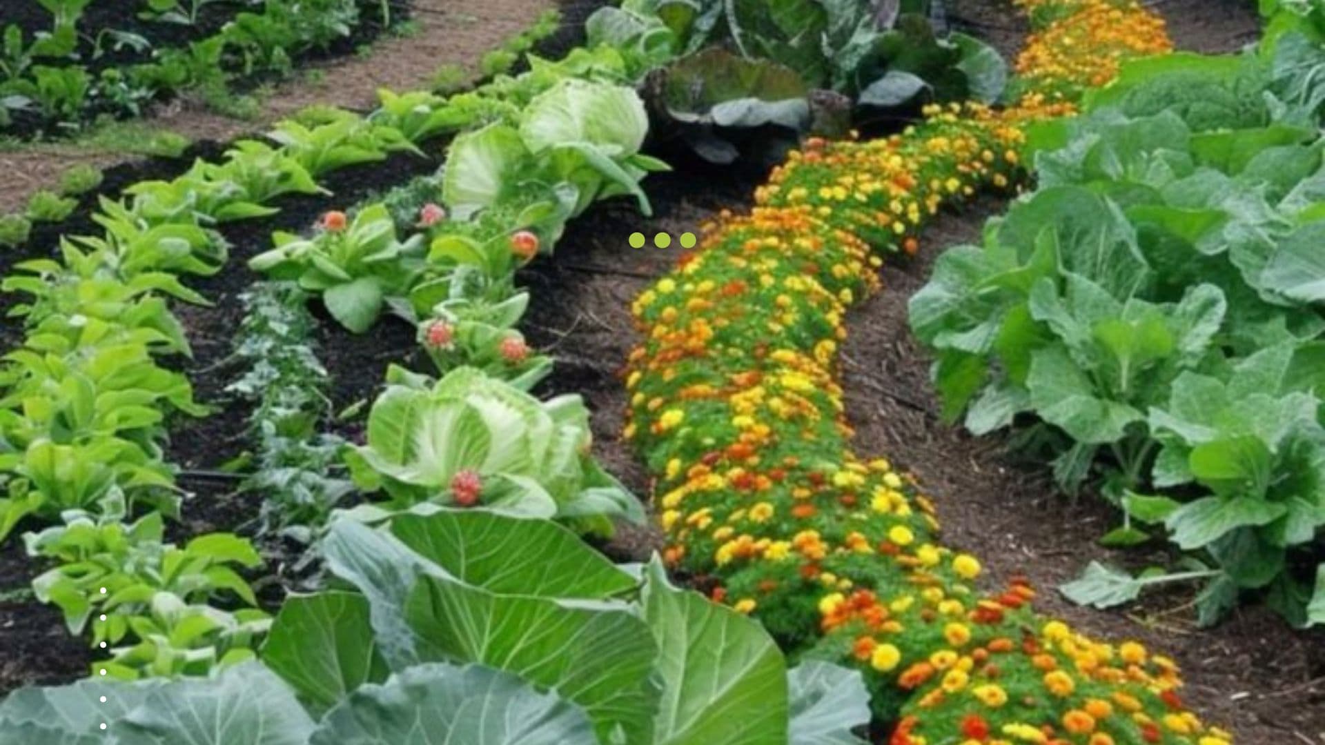 Intercropping: Benefits and Practical Examples