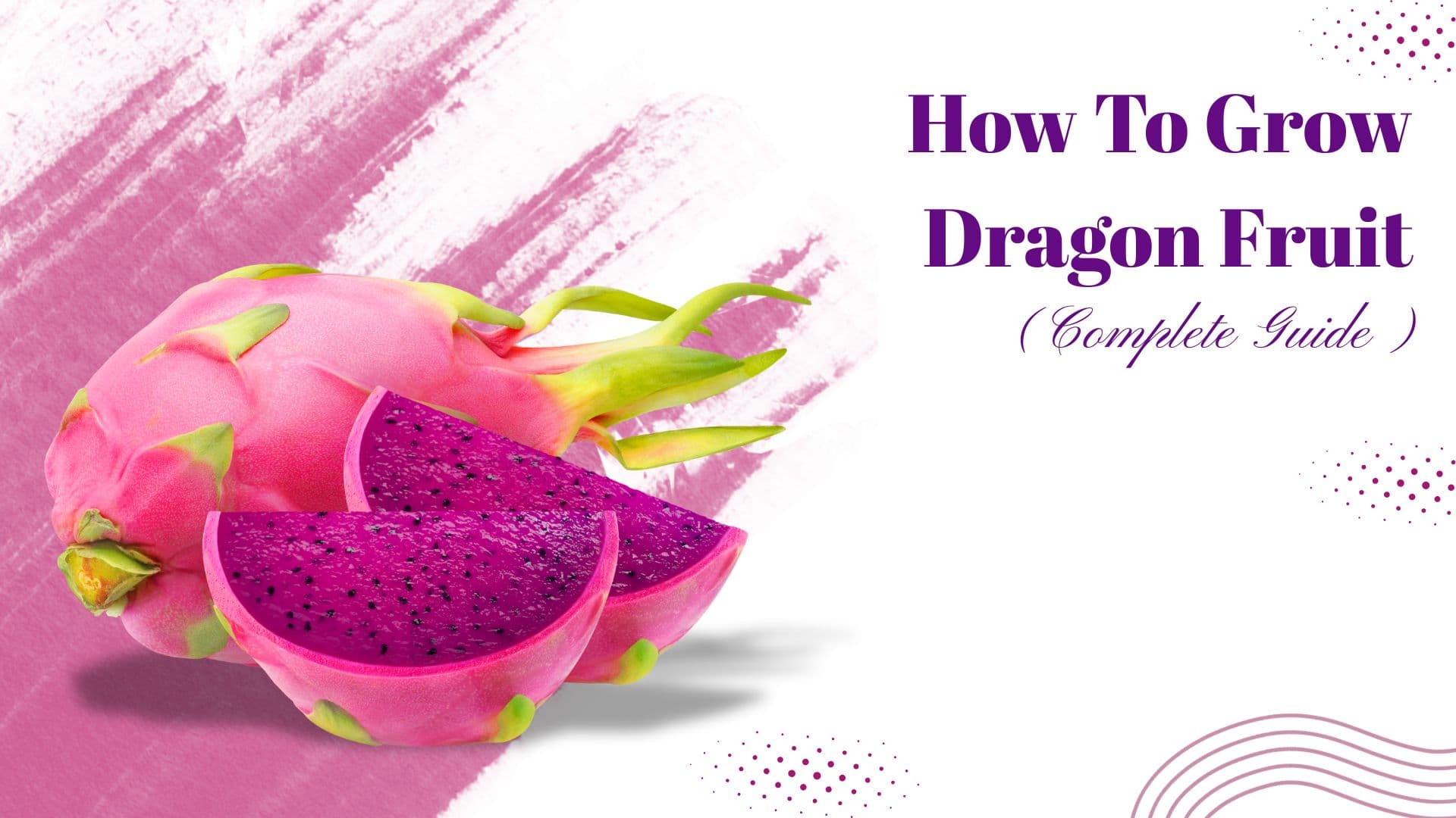 How to Grow Dragon Fruit (Complete Guide)