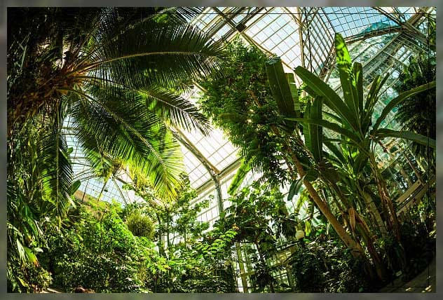 botanical gardens