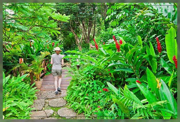 girl walking in botanical gardens