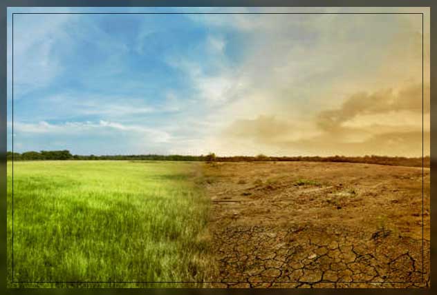 carbon footprint