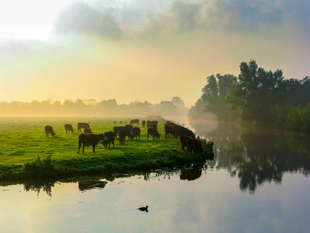 land as a resource and environmental practices
