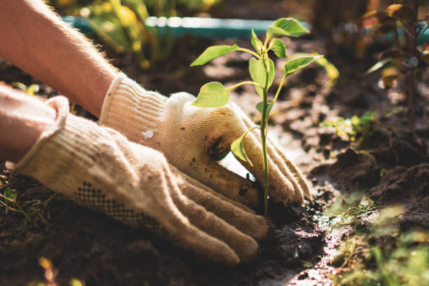 land use and environmental practices feature image