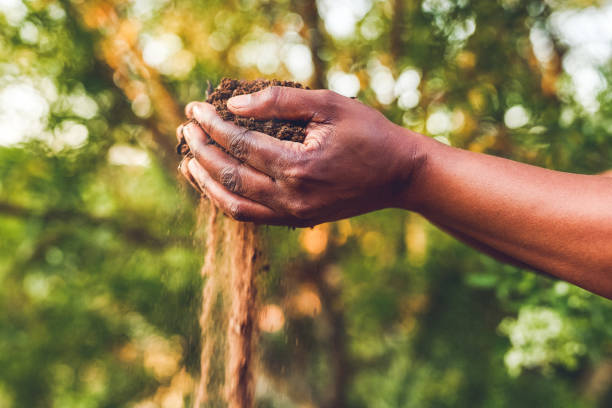 environmental challenges and land use