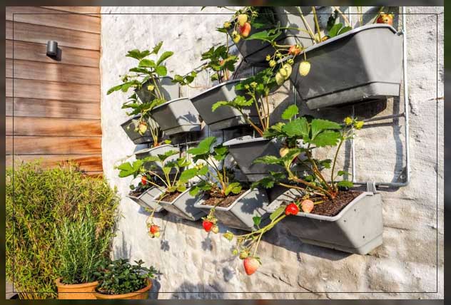 using garden containers
