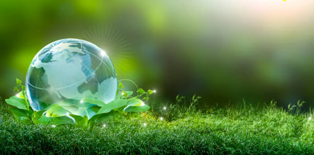 land management and environmental practices