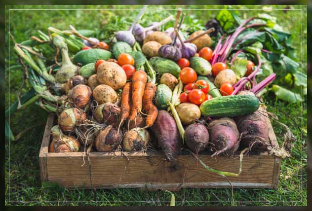 vegetables