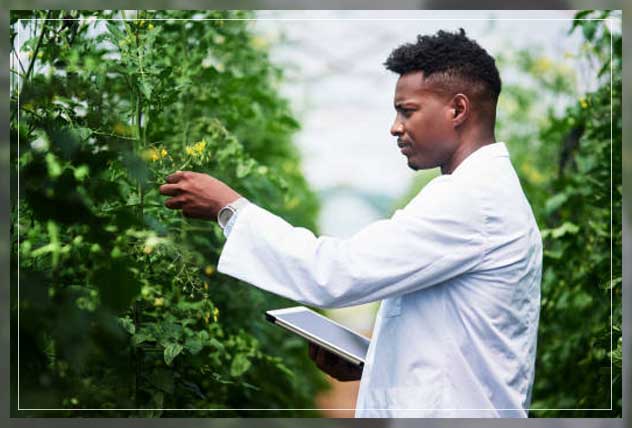 botanist in botanical garden