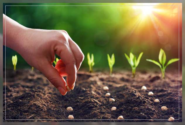 sowing seeds