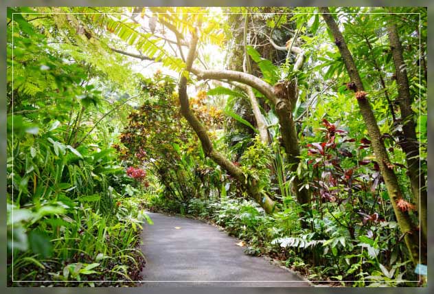 greenery layout