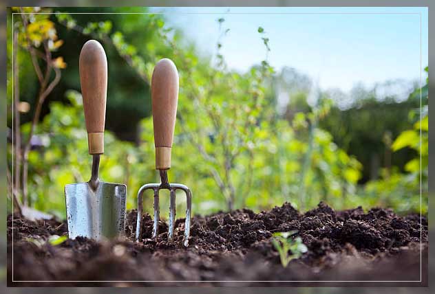 maintaining and sowing
