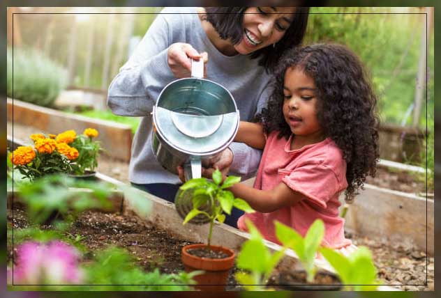 kitchen garden