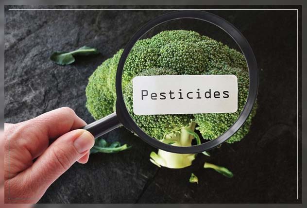 why organic food is better 