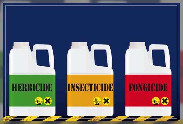 making clean and better choices