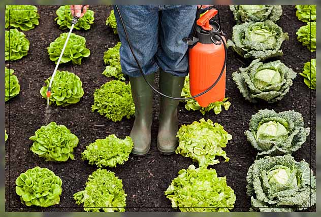 pesticides advantages