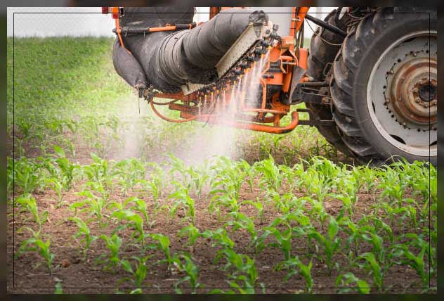 plant fertilizer 1