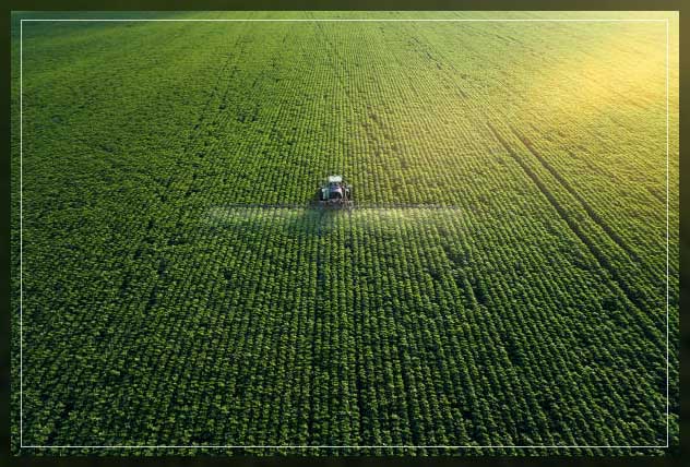 spray
