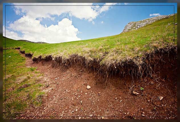 surface runoff