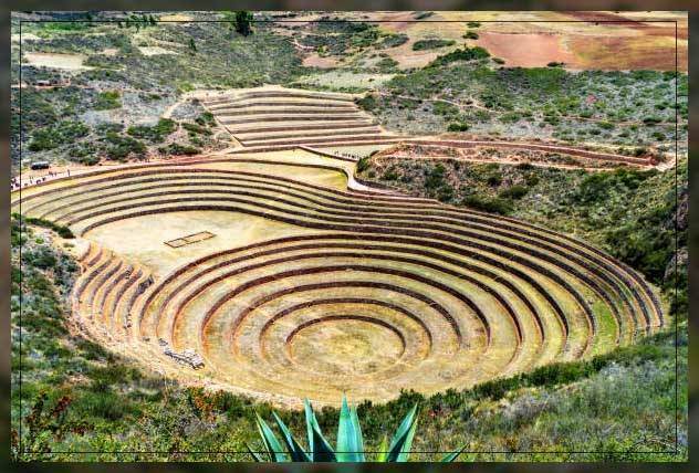 terrace farming 1