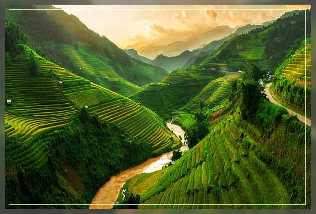 terrace farming 3