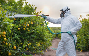 chemicals like pesticides cause more harm than good