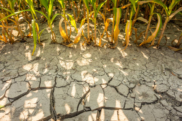 Drough and Water Scarcity