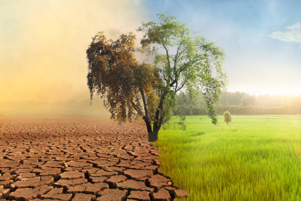 Effect on Agriculture