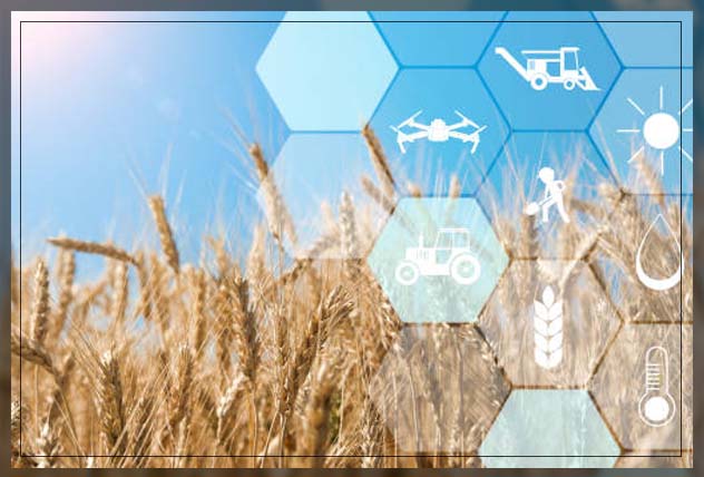 GIS in agriculture 13