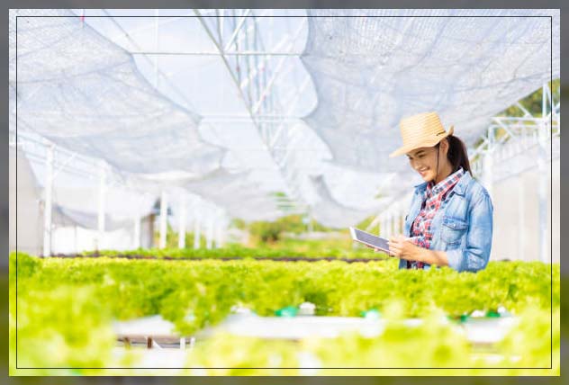 Hydroponics 14