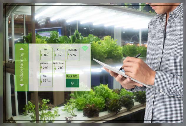 Hydroponics 17