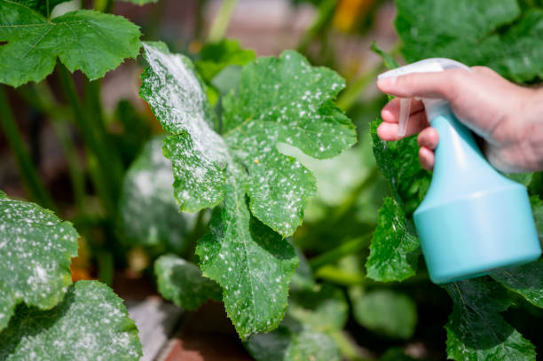 Increase in CO2 due to Pesticides and Herbicides