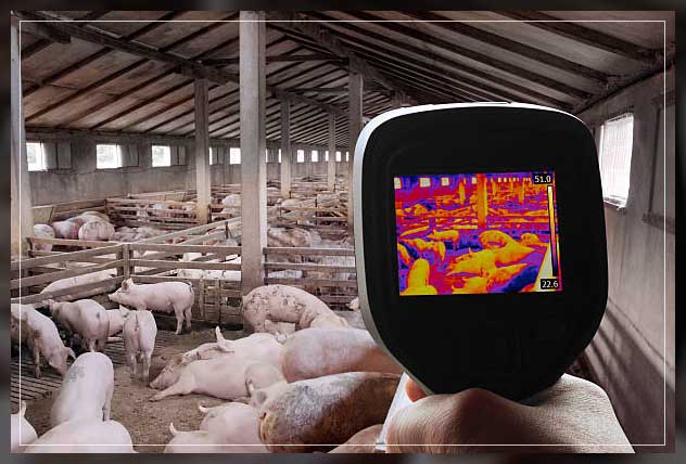 Livestock monitoring 14