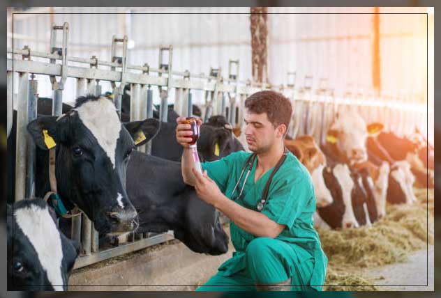 Livestock monitoring 15