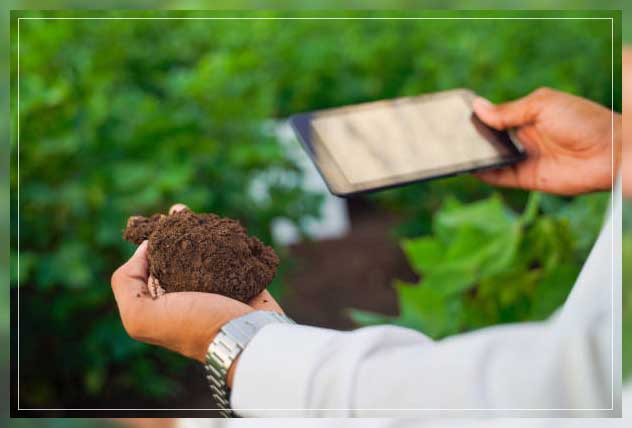 Multipurpose crops 14