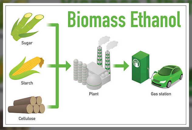 Multipurpose crops 15