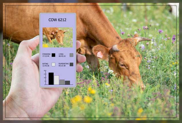 Precision agriculture 16